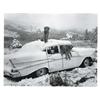 Image 1 : BRUCE WEBER (American, b. 1946) FREAK SUMMER SNOWSTORM, LITTLE BEAR RANCH, McLEOD, MONTANA BW# 73563