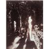 Image 1 : EUGÈNE ATGET (French, 1857-1927) TRIANON titled and numbered "Trianon 1234" by Berenice Abbott in pe