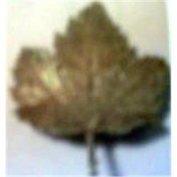 24k Yellow Gold Dipped Matte Leaf Vintage