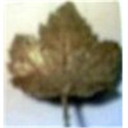 24k Yellow Gold Dipped Matte Leaf Vintage
