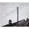 Image 1 : ANDR+ KERT+SZ (American, b. Hungary, 1894-1985) UNTITLED signed and stamped on verso vintage gelatin