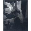 Image 1 : MANUEL ALVAREZ BRAVO (Mexican, b. 1902) EL UMBRAL (THRESHOLD) signed "M. Alvarez Bravo, Mexico" in p