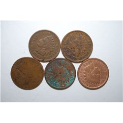 US Indian Head One Cent; Various Dates & Conditions; Lot of 5; EST. $5-10