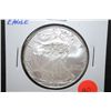 Image 1 : 2010 US Silver American Eagle $1; 1 Oz. Fine Silver; EST. $45-65