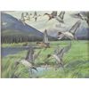 Image 2 : Wooden Framed Duck Print
