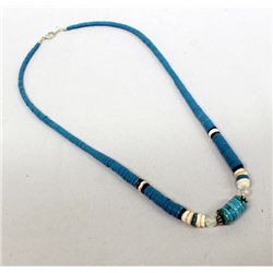 Santo Domingo Turquoise Shell Heishi Necklace
