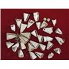 Image 1 : Prehistoric Casas Grande Cone Shell Beads