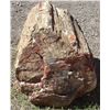 Image 1 : HUGE Petrified Wood Specimen MUST BE PICKED UP