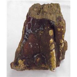 Unusual Petried Wood Specimen with Petrified Sap