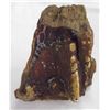 Image 1 : Unusual Petried Wood Specimen with Petrified Sap