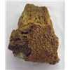 Image 2 : Unusual Petried Wood Specimen with Petrified Sap