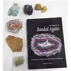 Seven Rock Specimens and Agate Rock Book
