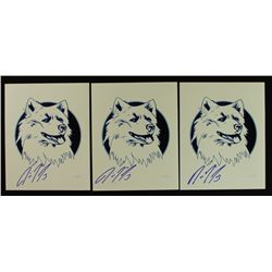 Lot of (3) Diana Taurasi U-Conn 8x10 Photos (PA LOA)