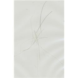 THE HAIR OF MARIE JOSEPH DE LAFAYETTE