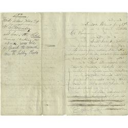 "LOUISIANA TIGER" WIA AT GETTYSBURG SEEKS AMNESTY IN THE NORTH