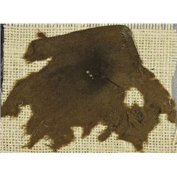 UNIFORM RELICS FROM COLD HARBOR