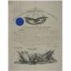 Image 1 : ANDREW JOHNSON