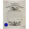 Image 1 : WILLIAM MCKINLEY
