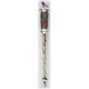 Image 1 : NINETEENTH CENTURY STERLING SILVER TORAH POINTER