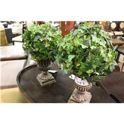 PAIR OF EVERGREEN PLANTS
