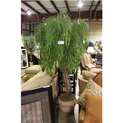 LARGE EVERGREEN TREE