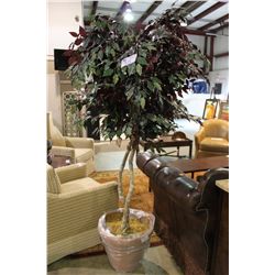 LARGE EVERGREEN TREE