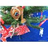 Image 10 : Cowboy Christmas Tree