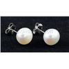 Image 2 : 17.01CTW WHITE RICE PEARL EARRING PHILIPPINES