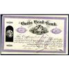 Image 1 : Bulls Head Bank, 1875 Issued Stock Certificate.