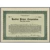 Image 1 : Houdini Picture Corp., Issued Stock.