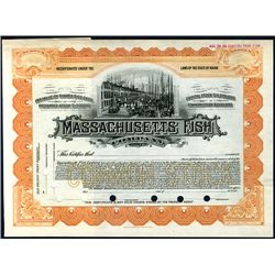 Massachusetts Fish Co., Specimen Stock.