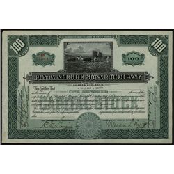 Punta Alegre Sugar Co., Issued Stock.