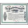 Image 1 : New York Transfer Co., Specimen Stock.