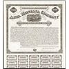 Image 1 : Alta Montana Co., Issued Bond.