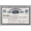 Image 1 : Nellie Grant Mining Co. Issued Stock.