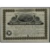 Image 1 : Central American Syndicate Co., Issued Stock.
