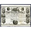 Image 1 : Tioga Coal, Iron, Mining & Manufacturing Co. Issued Stock.