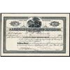 Image 1 : A.B. Cleveland Co. Ltd. Issued Seed Company Stock Certificate.