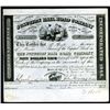 Image 1 : Indianapolis & Cincinnati Junction Rail Road Co., Issued Stock.