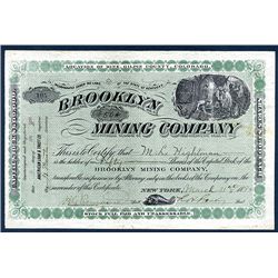 Brooklyn Mining Co. Issued Stock.