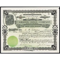 Amazon Gold Co. Issued Stock.