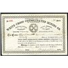 Image 1 : White Cross Consolidated Mining Co., Issued Stock.