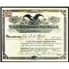 Image 1 : Doctor Martin Homaeopathic Family Medicine Co., 1899 Stock Certificate.