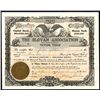 Image 1 : Slovan Association Issued Stock.