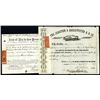 Image 1 : Junction & Breakwater R.R. Co., Issued Stock.