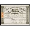 Image 1 : Western Pennsylvania Railroad Co., Issued Stock.