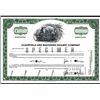 Image 1 : Clearfield and Mahoning Railway Co., Specimen Stock.