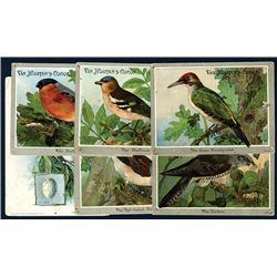 Bird Related Advertising Cards.