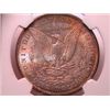 Image 2 : 1899-O Morgan Dollar MS63 NGC Color Coin