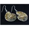 Image 3 : 10.60GRAMS AMMONITE FOSSIL GEMSTONE SNAIL EARRING